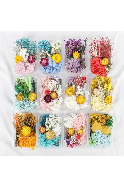 Tazweeq Real Dried Flowers, Mixed Natural Dry Plants for diy Candle Craft