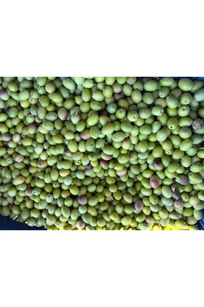Genel Markalar Gemlik cinsi kırma zeytin 10 kg(Fatma yöresel ürünler)