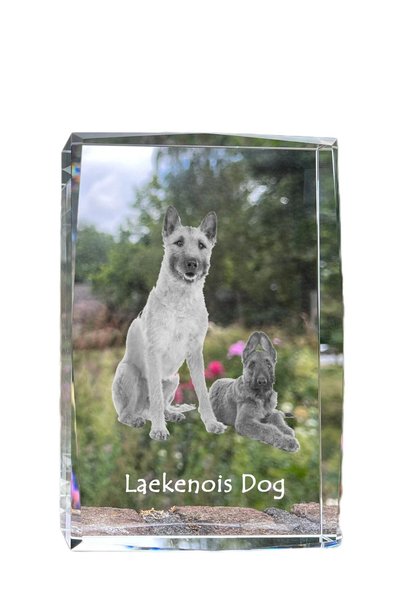 Art - Dog Art-Dog Cristal Mare cu Margini Decorative, Laekenois Belșean cu Gr...