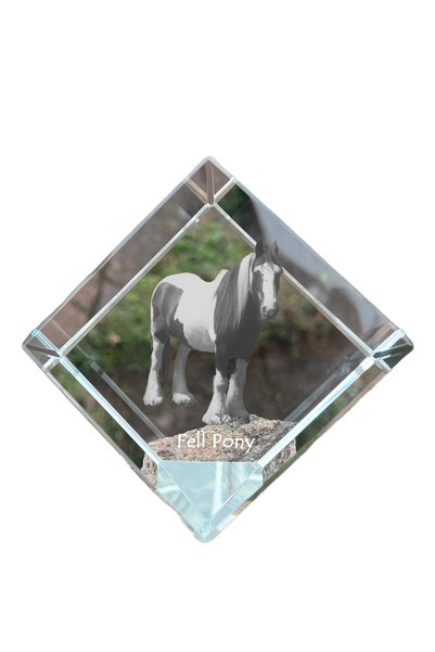 Art - Dog Prespapier cub de cristal Art-Dog Fell Pony cu gravură de cal - Cri...
