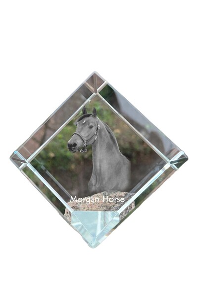 Art - Dog Prespapier cub de cristal Art-Dog, cal Morgan cu gravură de cal - C...
