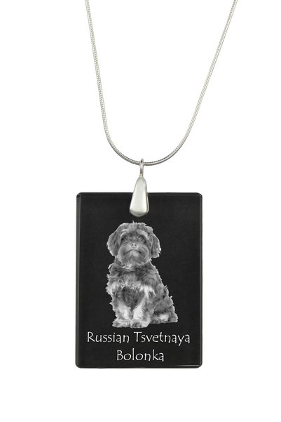 Art - Dog Colier cu pandantiv de cristal Art-Dog pe lanț placat cu argint, Bo...