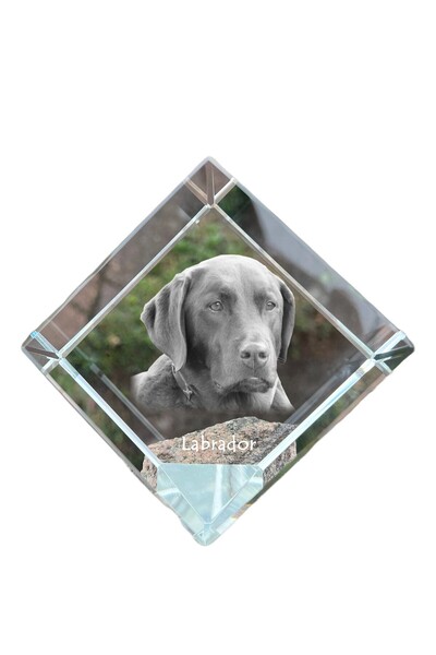 Art - Dog Prespapier cub de cristal Art-Dog Labrador Retriever cu gravură de ...