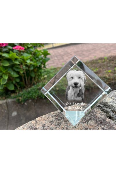 Art - Dog Prespapier Cub de Cristal Art-Dog cu Ogrăvit Ochiu Englez Vechi