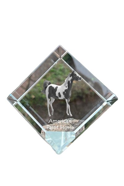 Art - Dog Prespapier cub de cristal Art-Dog, cal american pictat cu gravură d...