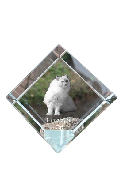 Art - Dog Prespapier cub de cristal Art-Dog, pisică himalayană cu gravură de ...
