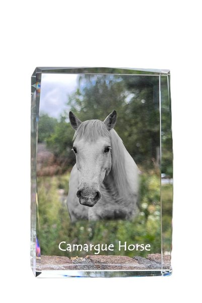 Art - Dog Art-Dog Cristal Mare cu Margini Decorative, Cal de Camarg cu Gravur...