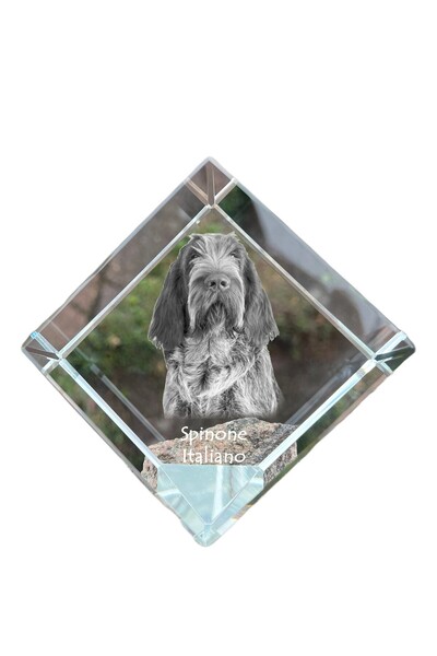 Art - Dog Prespapier cub de cristal Art-Dog, Spinone italian cu gravură de câ...