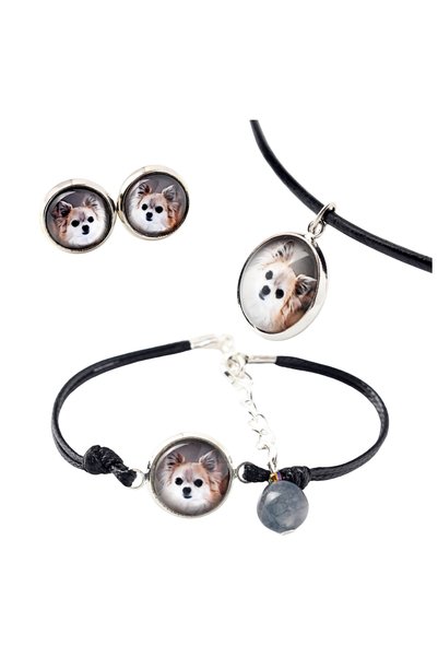 Art - Dog Set de colier, cercei și brățară Art-Dog Chihuahua cu păr lung, cu ...