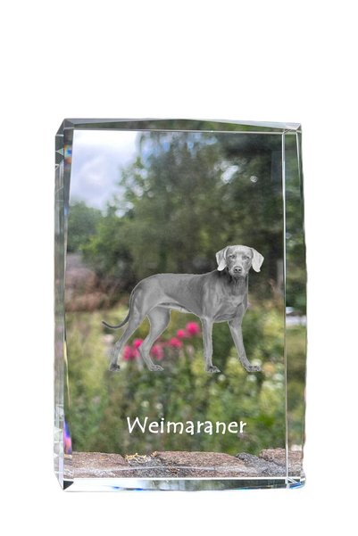 Art - Dog Art-Dog Cristal mare cu margini decorative Weimaraner cu gravură de...