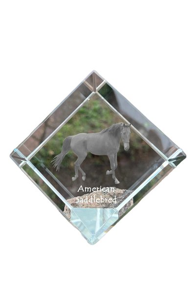 Art - Dog Prespapier cub de cristal Art-Dog, Saddlebred american, cu gravură ...