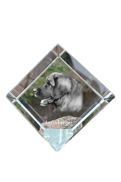 Art - Dog Prespapier cub de cristal Art-Dog Leonberger cu gravură de câine - ...