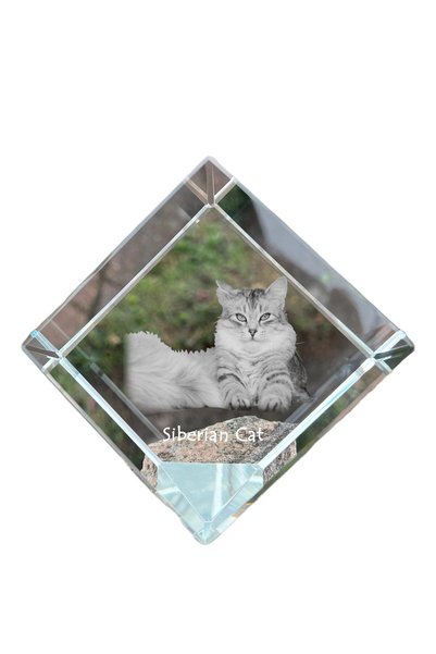 Art - Dog Prespapier cub de cristal Art-Dog Pisică Siberiană cu gravură pisic...