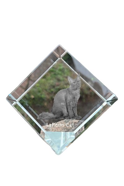 Art - Dog Prespapier cub de cristal Art-Dog LaPerm cu gravură pisică - Crista...