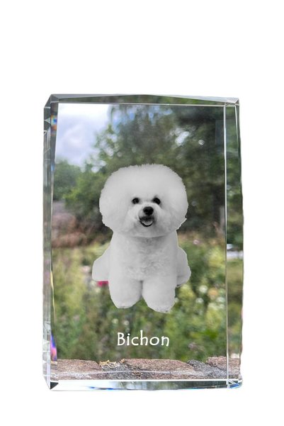 Art - Dog Art-Dog Cristal Mare cu Margini Decorative Bichon Frise cu Gravură ...