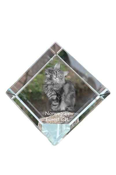 Art - Dog Prespapier cub de cristal Art-Dog, pisică norvegiană de pădure cu g...