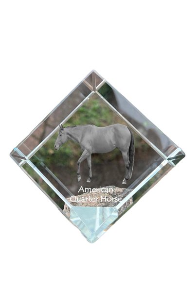 Art - Dog Prespapier cub de cristal Art-Dog, cal american Quarter Horse, cu g...
