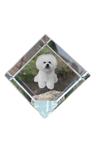 Art - Dog Prespapier cub de cristal Art-Dog Bichon Frise cu gravură de câine ...