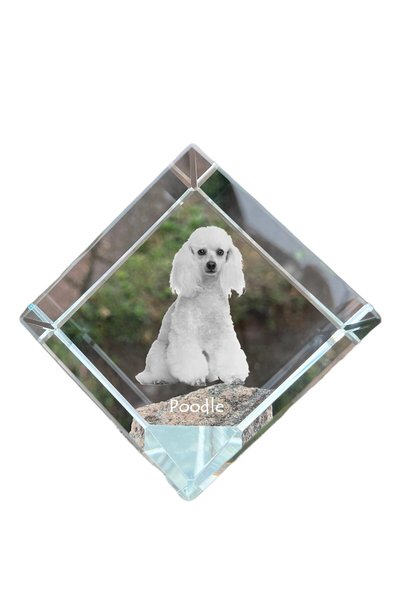 Art - Dog Prespapier Cub de Cristal Art-Dog cu Pudel și Gravură - Cristal Opt...