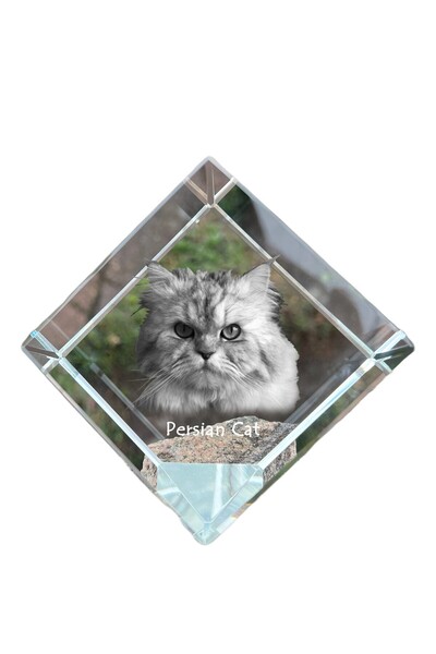 Art - Dog Prespapier Cub de Cristal Art-Dog Pisică Persană cu Gravură - Crist...