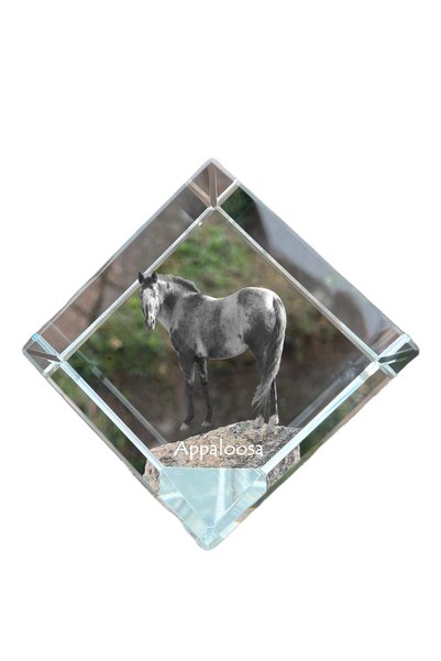 Art - Dog Prespapier cub de cristal Art-Dog Appaloosa cu gravură de cal - Cri...