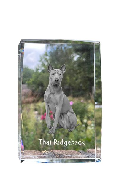 Art - Dog Art-Dog Cristal Mare cu Margini Decorative, Thai Ridgeback cu Gravu...