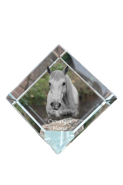 Art - Dog Prespapier cub de cristal Art-Dog, cal de Camargue cu gravură de ca...