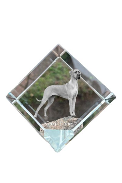 Art - Dog Prespapier cub de cristal Art-Dog, Dog Dachshund cu gravură - Crist...