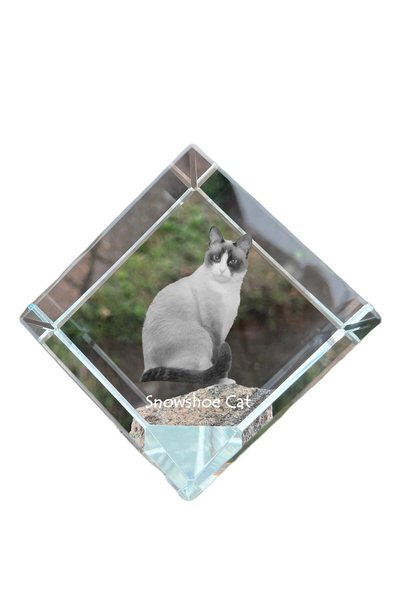 Art - Dog Prespapier Cub de Cristal Art-Dog, Pisică cu rachete de zăpadă și g...