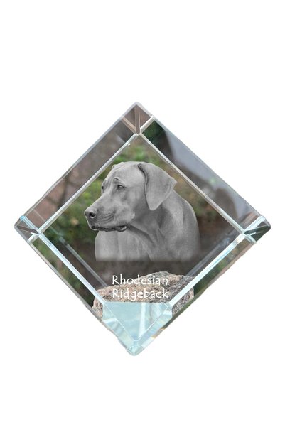 Art - Dog Prespapier cub de cristal Art-Dog Rhodesian Ridgeback cu gravură de...