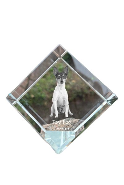Art - Dog Prespapier cub de cristal Art-Dog, jucărie Fox Terrier cu gravură d...