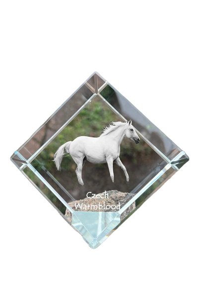 Art - Dog Prespapier cub de cristal Art-Dog, cal de rasă cehă cu gravură