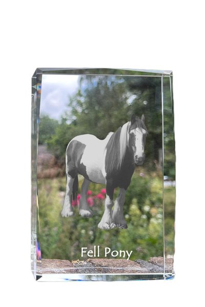 Art - Dog Art-Dog Cristal Mare cu Margini Decorative, Ponei Căzut cu Gravură ...