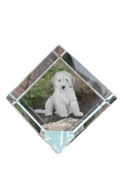 Art - Dog Prespapier cub de cristal Art-Dog Cockapoo cu gravură de câine - Cr...
