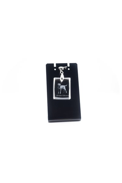 Art - Dog Colier cu pandantiv de cristal Art-Dog Labrador Retriever, cu gravu...