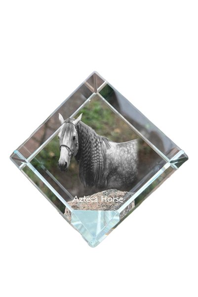Art - Dog Prespapier cub de cristal Art-Dog, cal aztec cu gravură de cal - Cr...