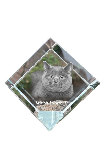 Art - Dog Prespapier cub de cristal Art-Dog, britanic scund, cu gravură pisică