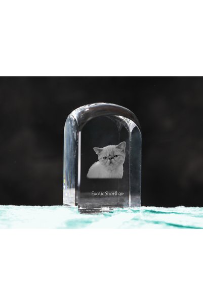 Art - Dog Prespapier de cristal Art-Dog, Păr Scurt Exotic cu gravură de pisic...