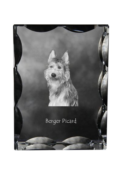 Art - Dog Art-Dog Cristal dreptunghiular cu margini decorative Berger Picard ...