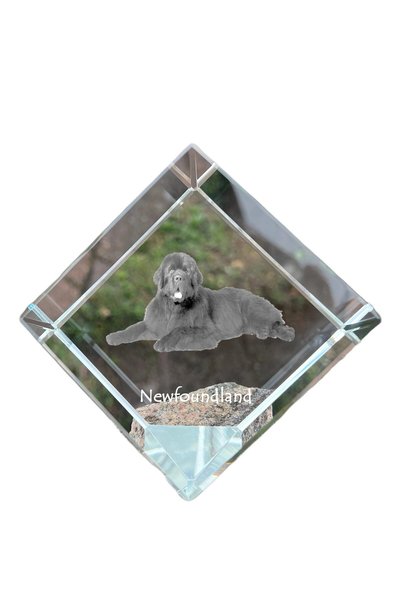 Art - Dog Prespapier Cub de Cristal Art-Dog Newfoundland cu Gravură Câine - C...