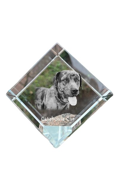 Art - Dog Prespapier cub de cristal Art-Dog, câine Catahoula Leopard cu gravu...