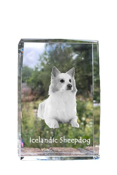 Art - Dog Art-Dog Cristal Mare cu Margini Decorative, Ciobănesc Islandez cu G...
