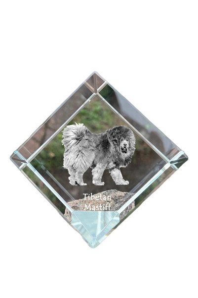 Art - Dog Prespapier cub de cristal Art-Dog, Mastif tibetan cu gravură de câi...