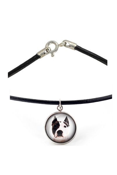 Art - Dog Colier Art-Dog American Staffordshire Terrier cu fotografie de câine