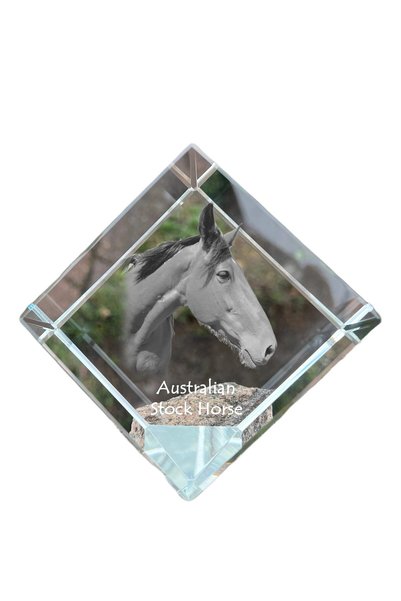 Art - Dog Prespapier cub de cristal Art-Dog, cal australian cu gravură de cal