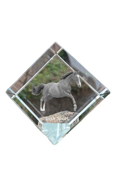 Art - Dog Prespapier cub de cristal Art-Dog, cal sportiv irlandez cu gravură ...