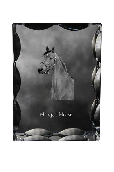 Art - Dog Art-Dog Cristal dreptunghiular cu margini decorative, Morgan Horse ...