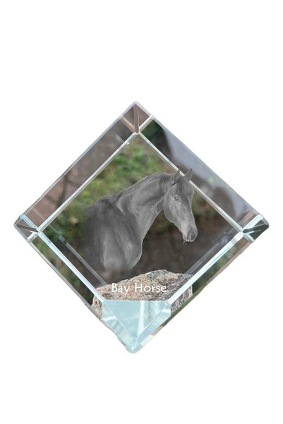 Art - Dog Prespapier Cub de Cristal Art-Dog, Cal de Mare cu Gravură de Cal - ...