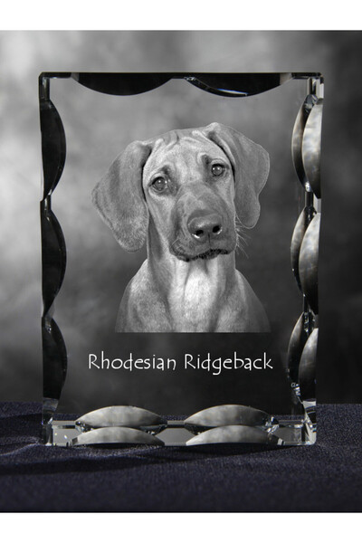 Art - Dog Art-Dog Cristal dreptunghiular cu margini decorative Rhodesian Ridg...