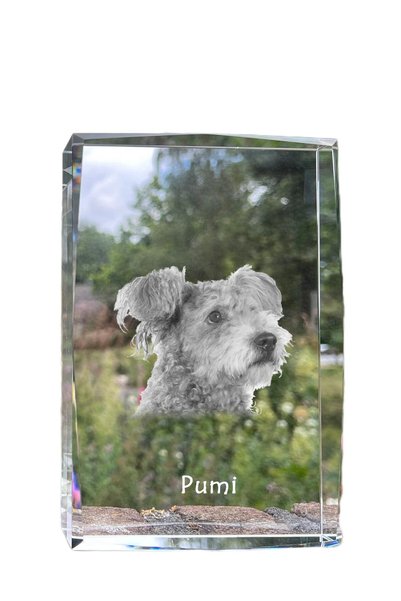 Art - Dog Art-Dog Cristal Mare cu Margini Decorative Pumi cu Gravură Câine
